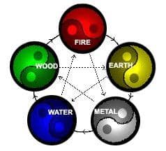 5elements Touch For Health Courses